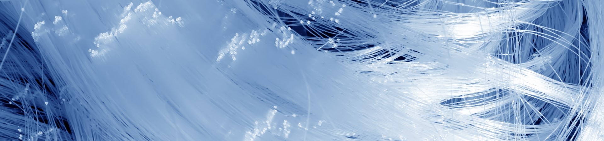 1920 Shutterstock 169684739